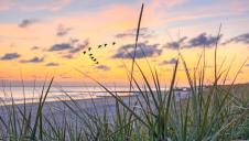 Demand in global desalination markets drove a strong second quarter performance for Energy Recovery